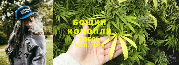 мяу мяу мука Гусиноозёрск