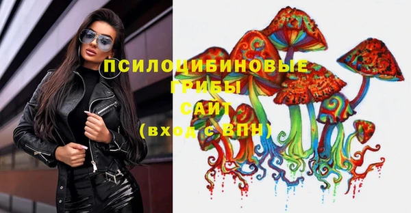 мяу мяу мука Гусиноозёрск