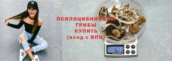 мяу мяу мука Гусиноозёрск